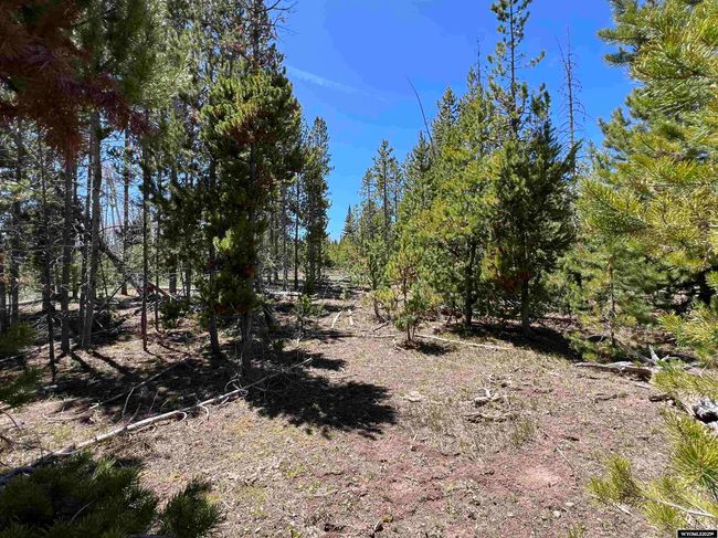 9706 9902 County Road 271, Home with 5 bedrooms, 3 bathrooms and null parking in Robertson WY | Image 41