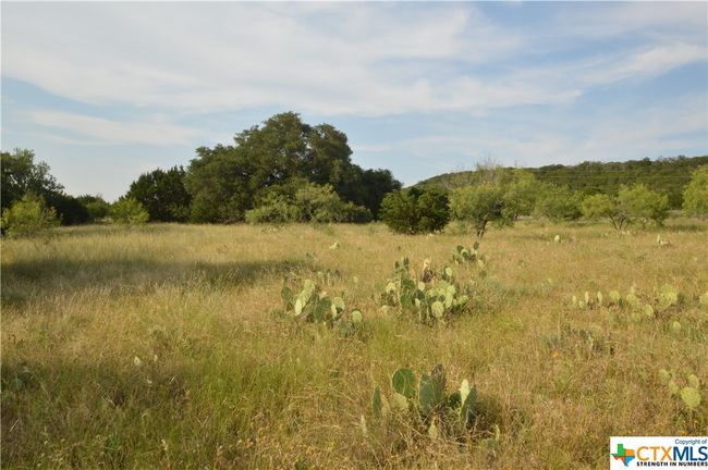 17426 N Highway 183, Home with 0 bedrooms, 0 bathrooms and null parking in Lometa TX | Image 7