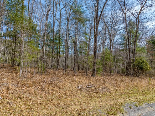 Lot 6 N Sunset Lane, Home with 0 bedrooms, 0 bathrooms and null parking in Bland VA | Image 30