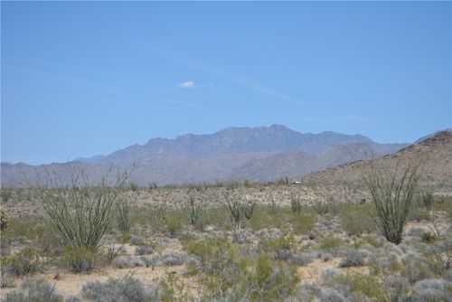 8 Allison Drive, Yucca, AZ, 86438 | Card Image