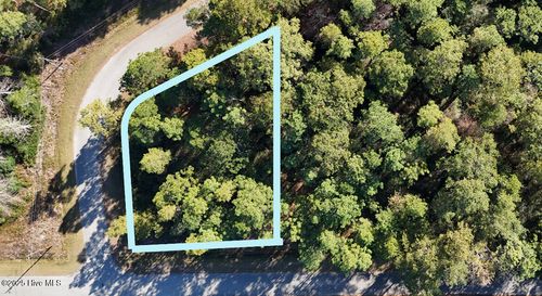 lot-204-Lot 204 Masters Dr, Boiling Spring Lakes, NC, 28461-9168 | Card Image