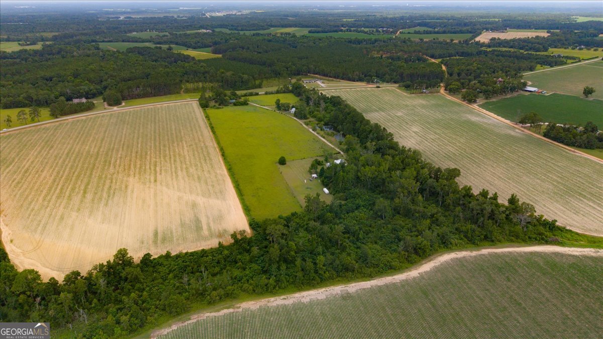 Land in Statesboro 5