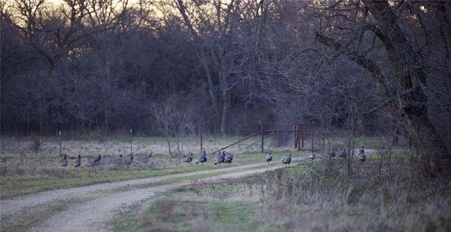 View of community with a rural view | Image 6