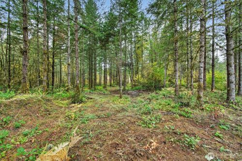 131 Kuty Dr, Toledo, WA, 98591-8602 | Card Image