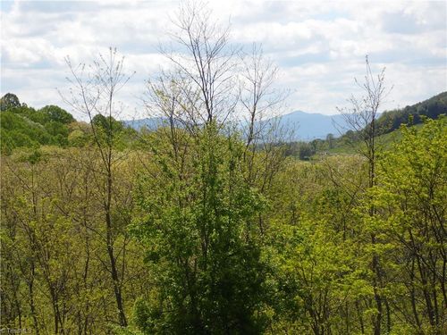 TBD Ginkgo Dr, Laurel Springs, NC, 28644 | Card Image
