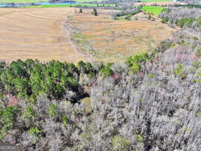 2819 Stripling Rd, Home with 0 bedrooms, 0 bathrooms and null parking in Dexter GA | Image 24