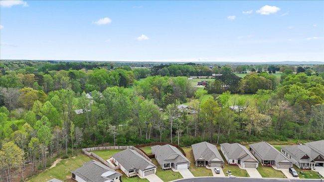 1820 Anise Cir Se, House other with 5 bedrooms, 2 bathrooms and null parking in Cullman AL | Image 45