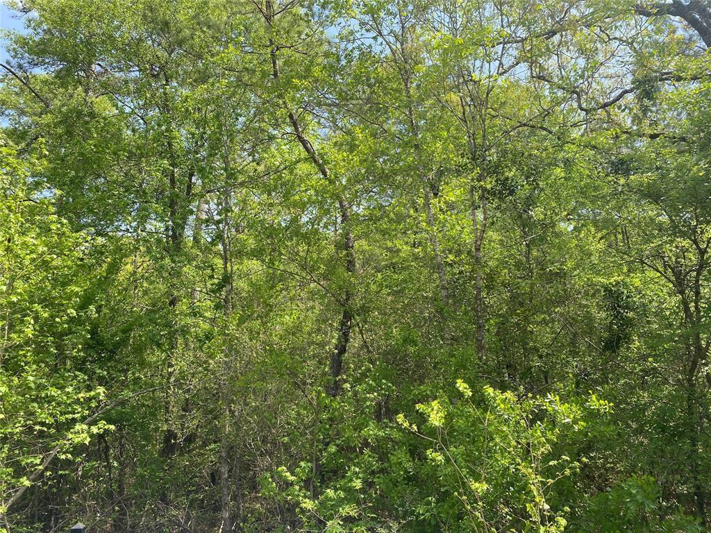 Land in Plantersville