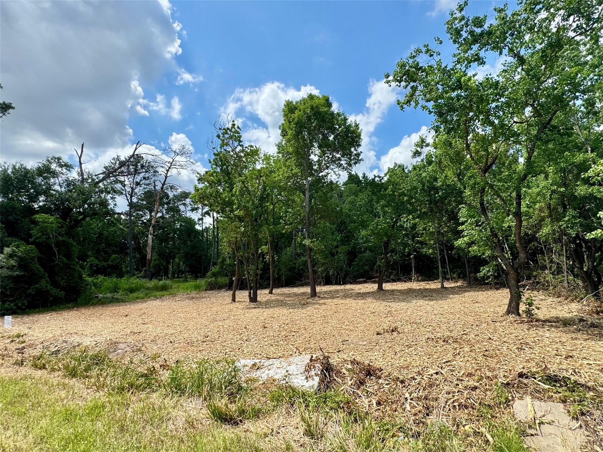 Land in Houston 5