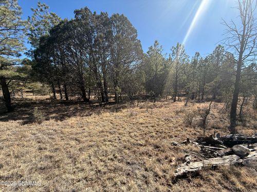 TBD Eldorado Dr, Timberon, NM, 88350 | Card Image