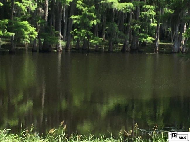 9382 Desiard Trce, Home with 0 bedrooms, 0 bathrooms and null parking in Sterlington LA | Image 4