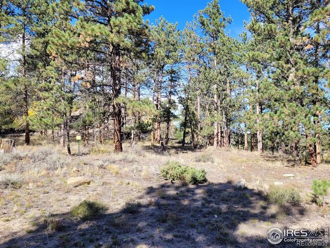 70 Northwoods Dr, Home with 0 bedrooms, 0 bathrooms and null parking in Red Feather Lakes CO | Image 10