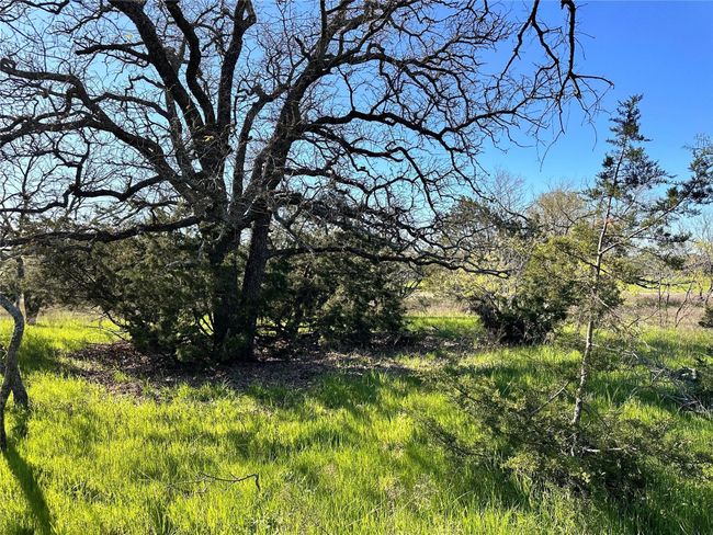 Lot 13 Cr 127, Home with 0 bedrooms, 0 bathrooms and null parking in Carlton TX | Image 5