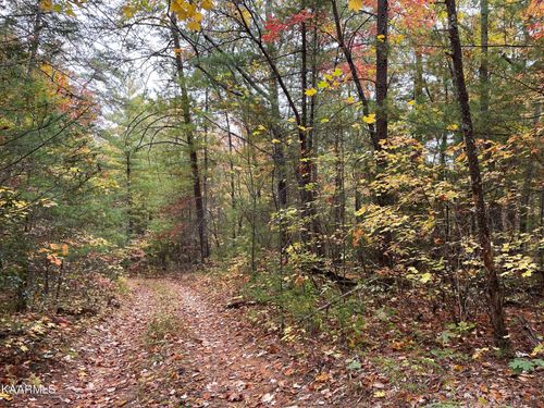 0 Grindstaff Rd, Hartford, TN, 37753 | Card Image