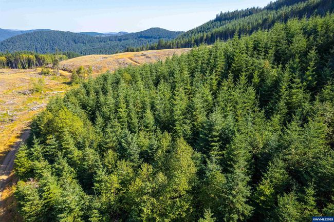 0 Bald Mountain Rd, Home with 0 bedrooms, 0 bathrooms and null parking in Beaver OR | Image 6