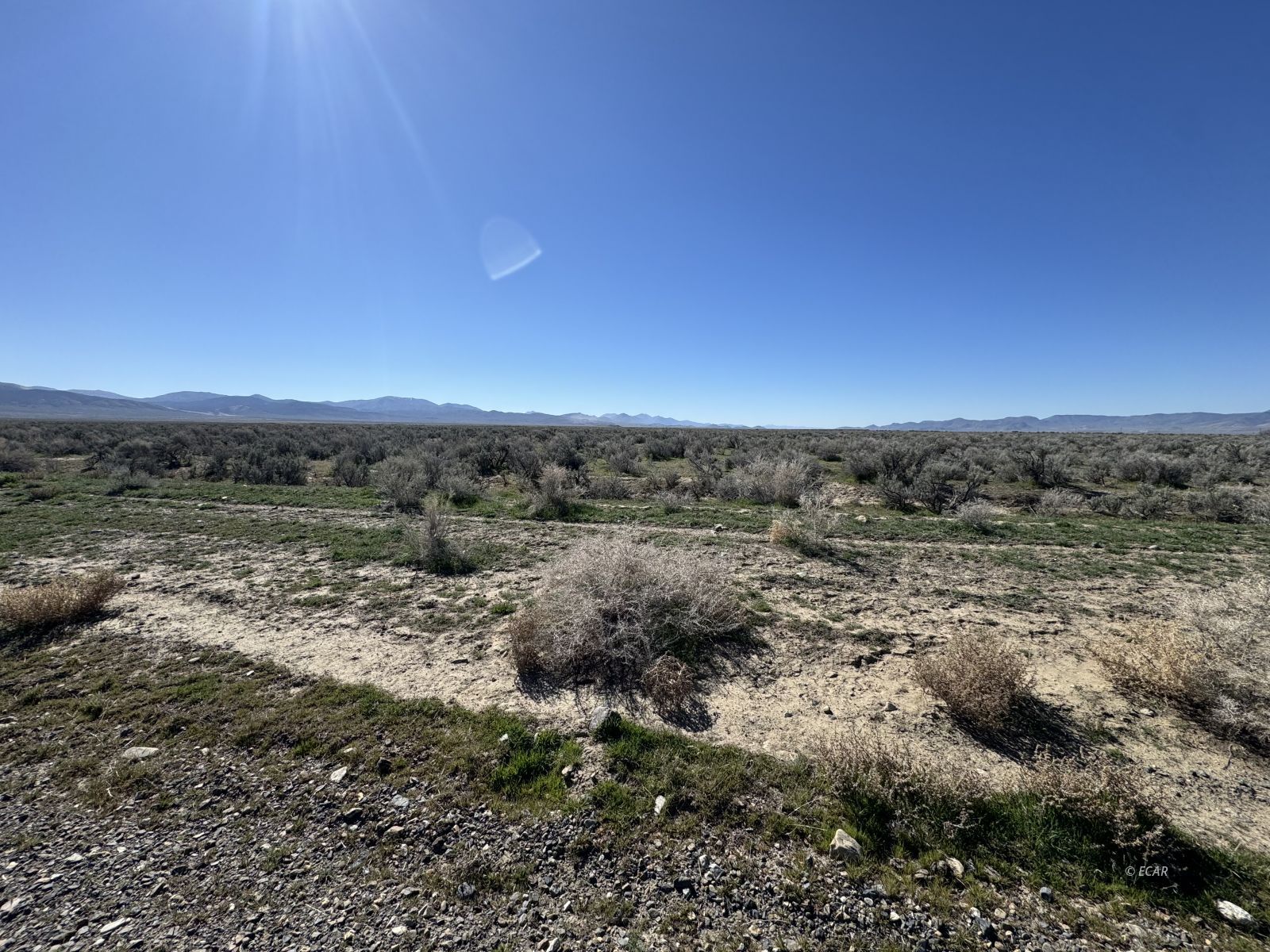 Land in Battle Mountain 3