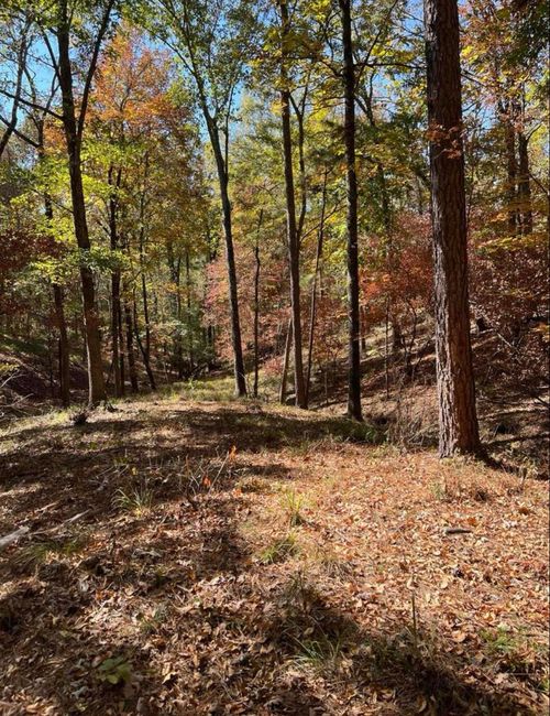 00 Ballentine Ct, North Augusta, SC, 29860 | Card Image