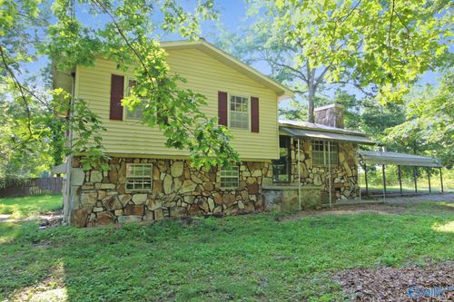 247 Sherwood Blvd, Fyffe, AL, 35971-3221 | Card Image