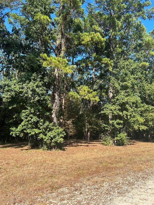 575859 S Grand Pine Cir, Livingston, TX, 77351 | Card Image