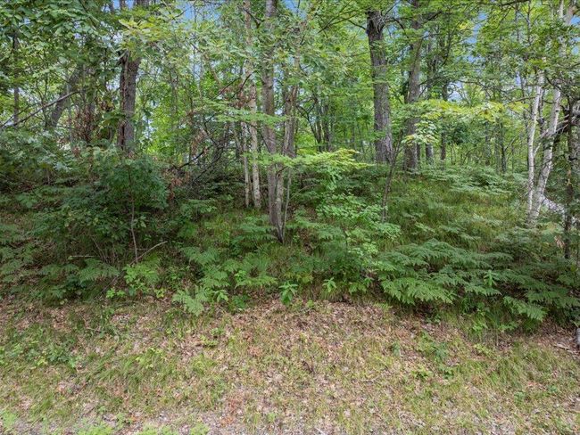 11 Catskill Drive, Home with 0 bedrooms, 0 bathrooms and null parking in Breezy Point MN | Image 6