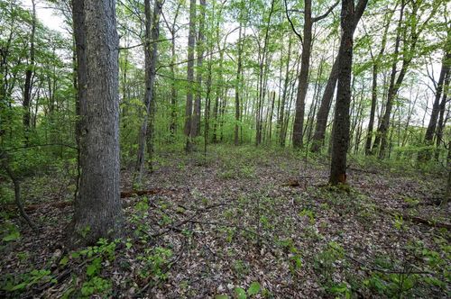 Lot 1 Cale Rd, Masontown, WV, 26542-9121 | Card Image