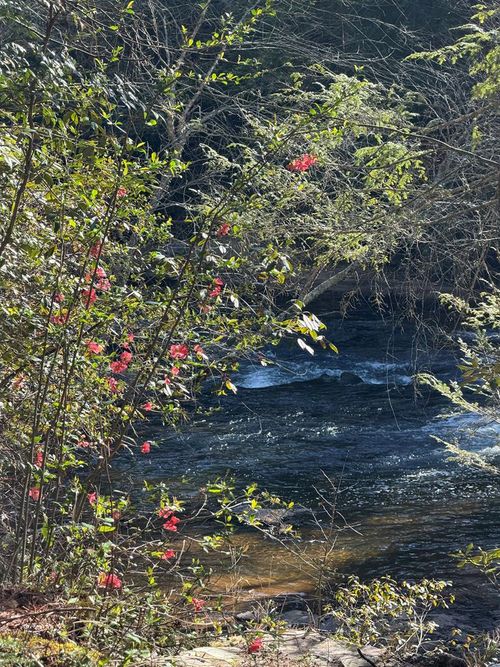 5 Acres Frogtown Pl, Dahlonega, GA, 30533 | Card Image