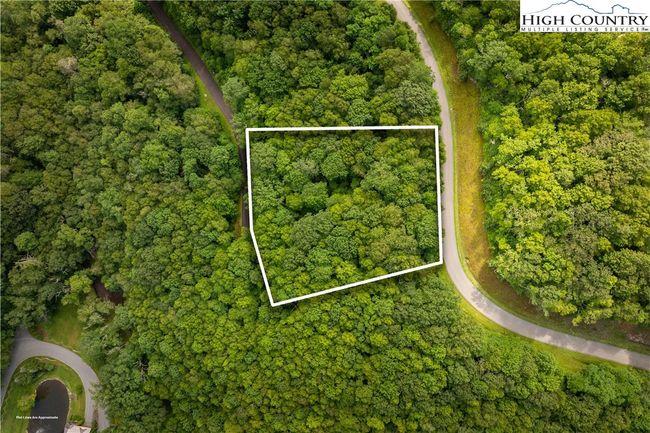 Lot 123 | Image 4