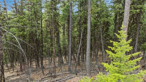 388 Coyote Ridge Pass Rd, Fortine, MT, 59918 | Card Image