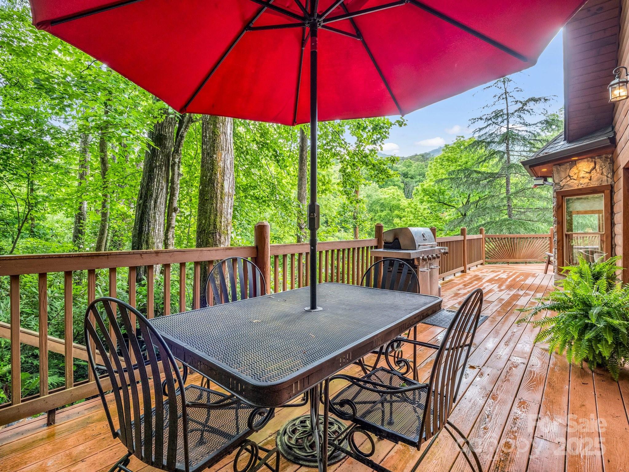 Residential in Lake Lure 3
