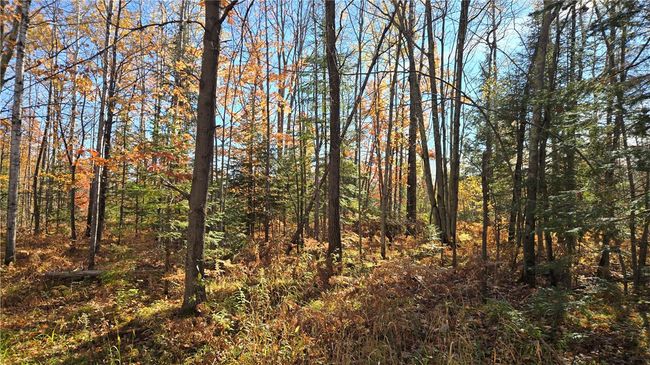2984 N Weirgor Rd, House other with 4 bedrooms, 1 bathrooms and null parking in EXELAND WI | Image 33