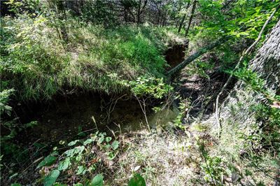 View of landscape with a water view | Image 3