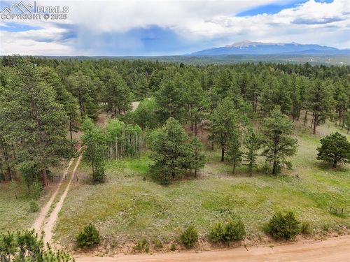 4202 Wildhorn Rd, Florissant, CO, 80816-7000 | Card Image