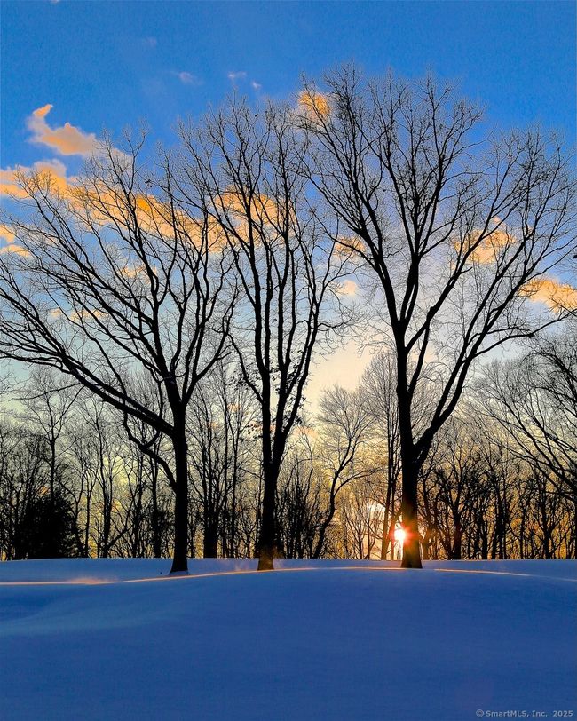 Beauty is everywhere at SW, in every season | Image 28