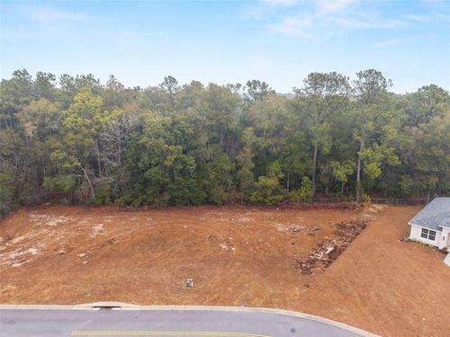 TBD Ne 58th Ave, Silver Springs, FL, 34488 | Card Image