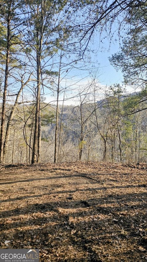 137 Abe Court, Ranger, GA, 30734 | Card Image