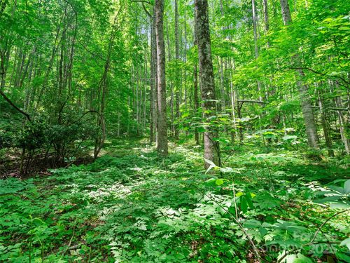 lots-19-20-23-25-26-#2 TBD Lotties Creek Road, Burnsville, NC, 28714 | Card Image