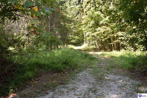 291 Oak Rd, Falls Of Rough, KY, 40119-6551 | Card Image