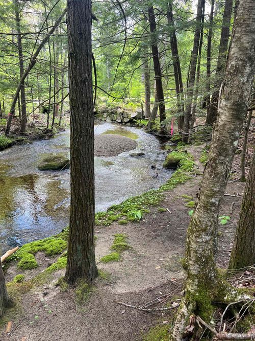 16-1-3-00 Cross Road, Wentworth, NH, 03282 | Card Image