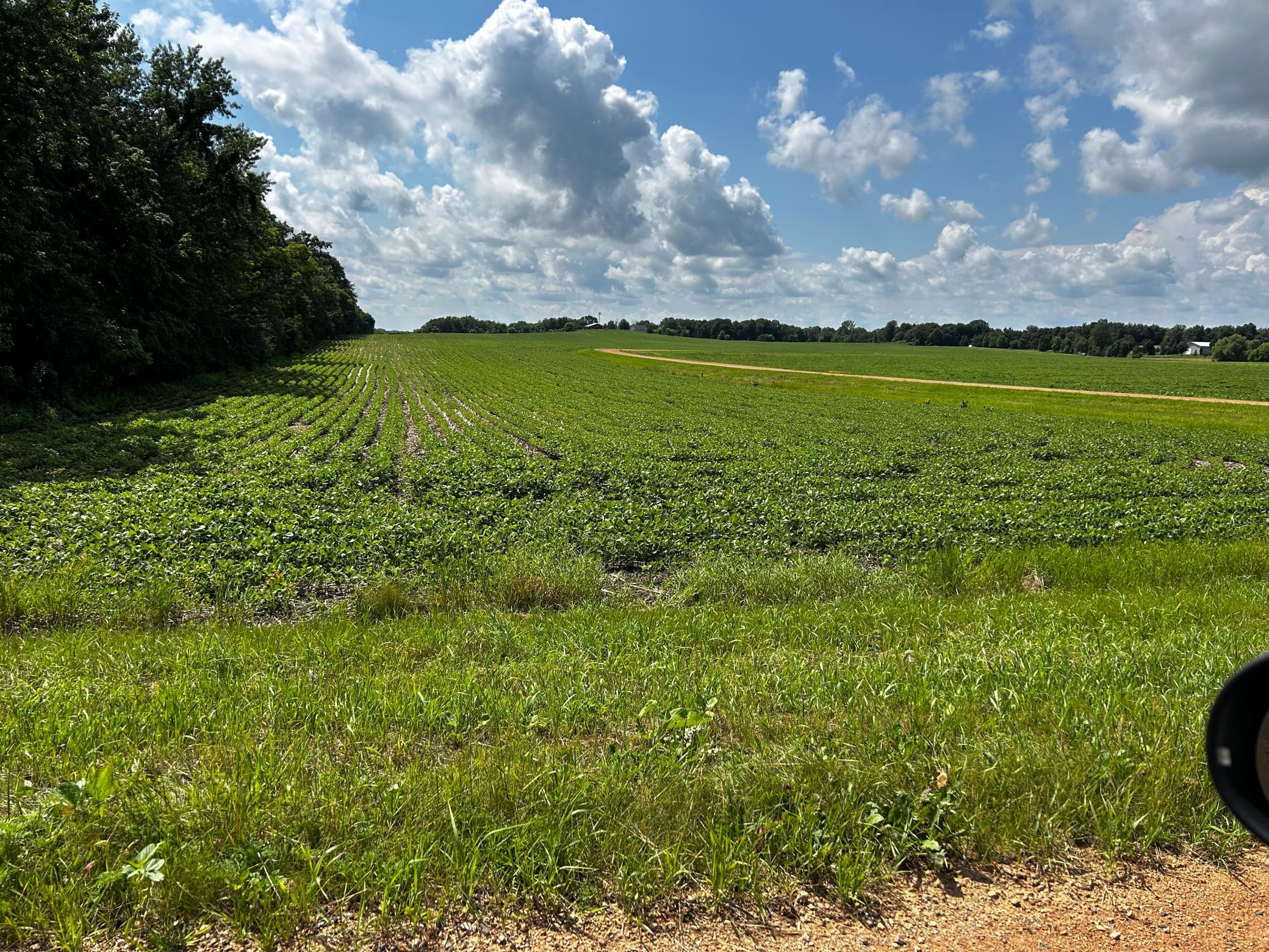 Land in Chaska 5