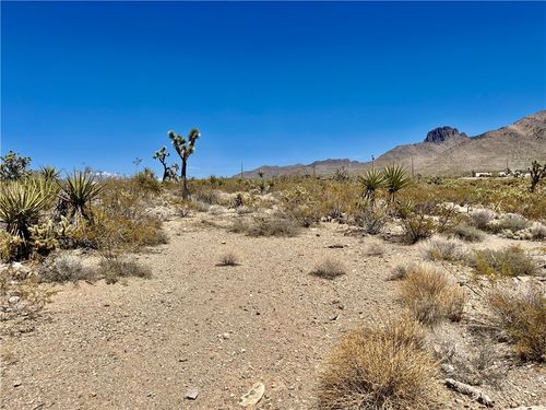 319 Lakeside Drive, Dolan Springs, AZ, 86441 | Card Image