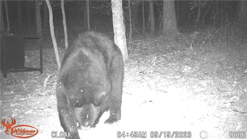 TBD County Road 2707, Kingston, AR, 72742 | Card Image