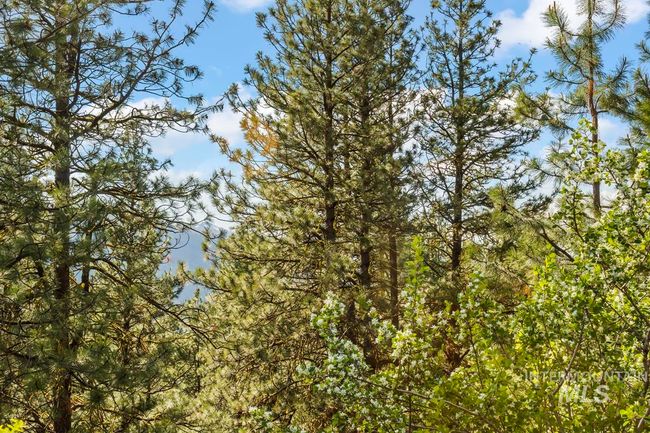 470 Collier View Rd, Home with 0 bedrooms, 0 bathrooms and null parking in Cascade ID | Image 6