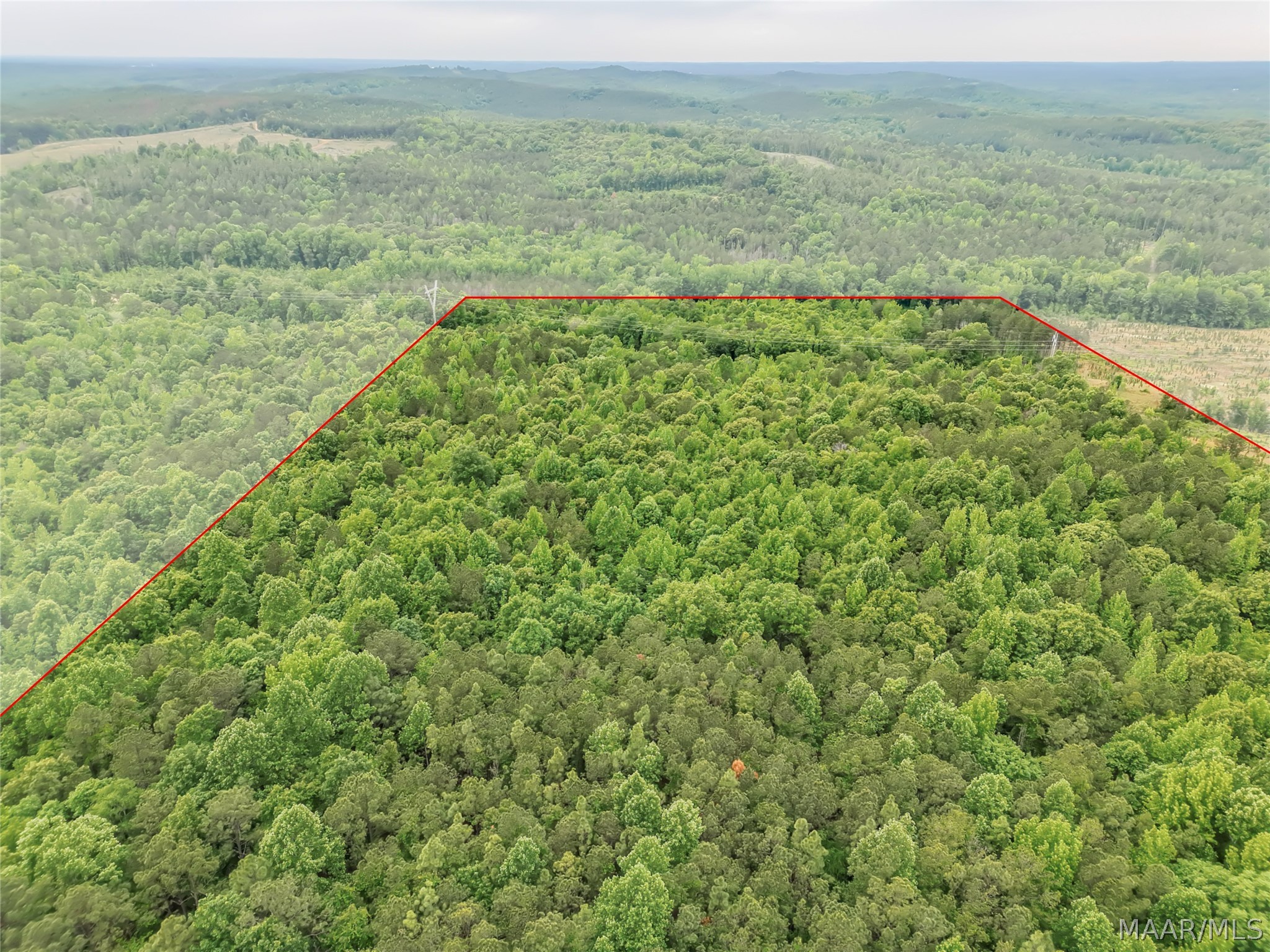 Land in Moundville 5