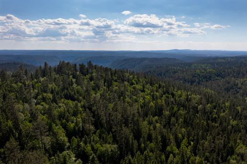 Lot 20R Deer Mountain Rd, Lead, SD, 57754 | Card Image