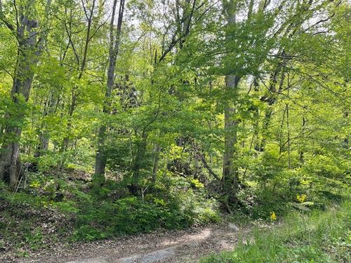 0 Bruer Dr, Smithville, TN, 37166 | Card Image