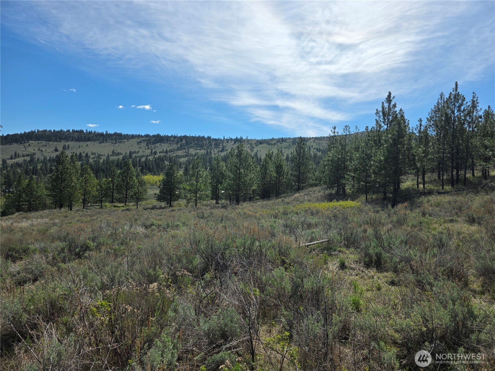 Land in Tonasket 4