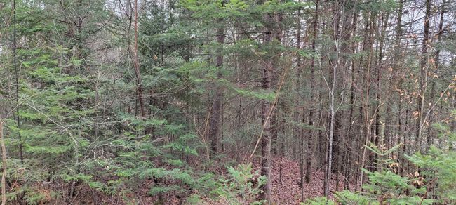 Lot 12 Mirror Lake Estates Dr, Home with 0 bedrooms, 0 bathrooms and null parking in Whitefield NH | Image 21