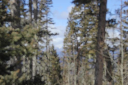 Lot 19 Happy Way, Angel Fire, NM, 87710 | Card Image