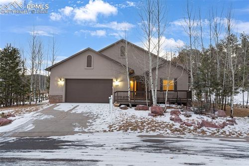 1157 Ptarmigan Dr, Woodland Park, CO, 80863-8004 | Card Image