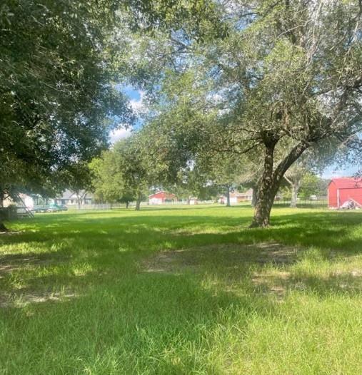 Land in Alvin 5